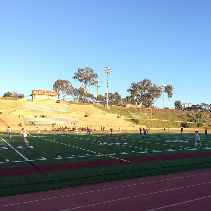 rugby field artificial turf